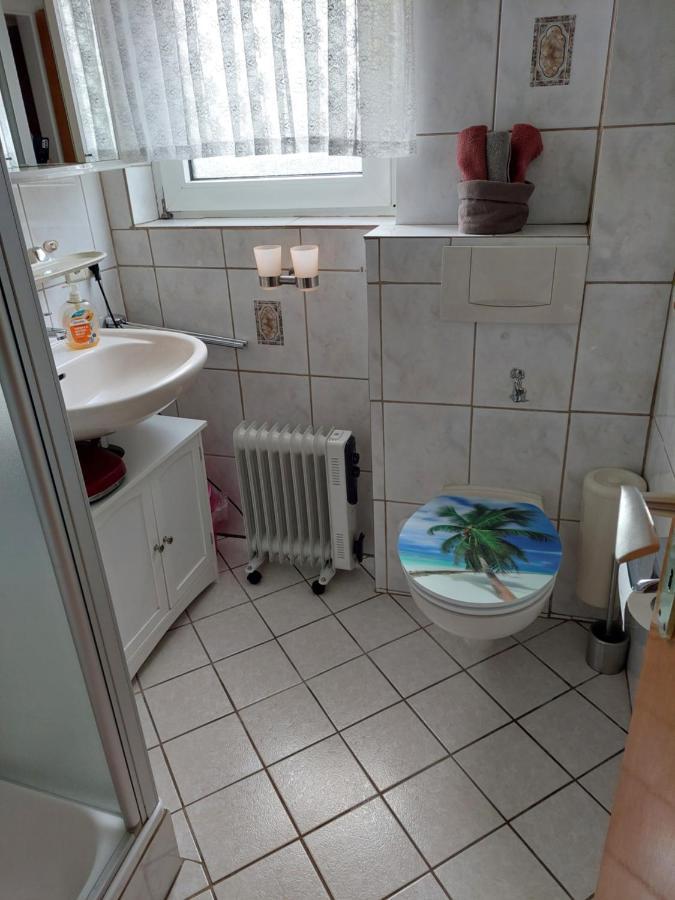 Urige Gemuetliche Ferienwohnung 64 M2 In Dielheim, Naehe Heidelberg المظهر الخارجي الصورة