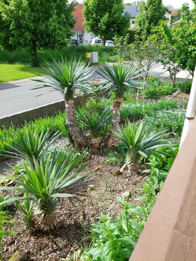 Urige Gemuetliche Ferienwohnung 64 M2 In Dielheim, Naehe Heidelberg المظهر الخارجي الصورة